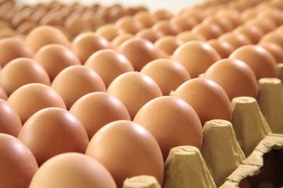 巢湖鸡蛋检测价格,鸡蛋检测机构,鸡蛋检测项目,鸡蛋常规检测